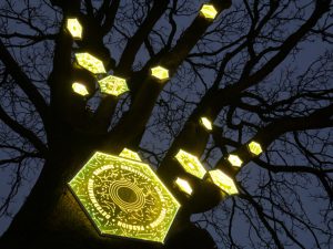 A night time image of glowing perspex hexagons suspended in a leafless tree etched with ‘GOOD NATURE’, ‘CURIOSITY’, ‘BALANCE’, ‘PASSION’, ‘PRECISION’, ‘DETERMINATION’ with simple drawings to illustrate