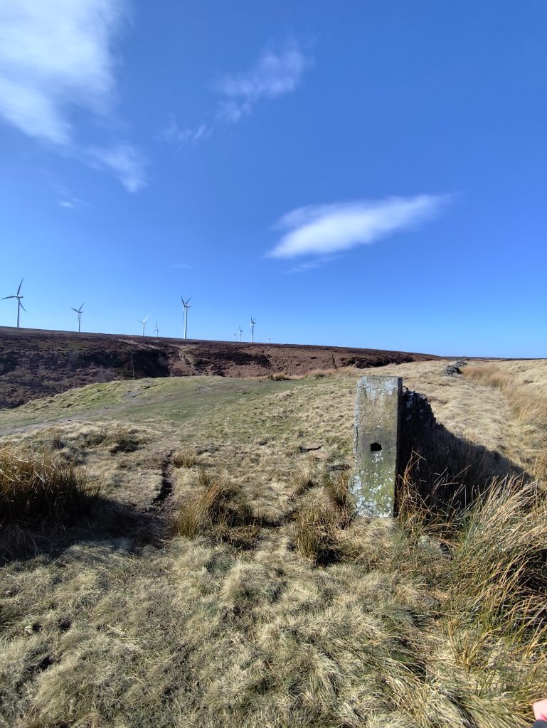 A view across windswept grass on Thornton moor, wind turbines along the distant ridge, bright blue sky.
